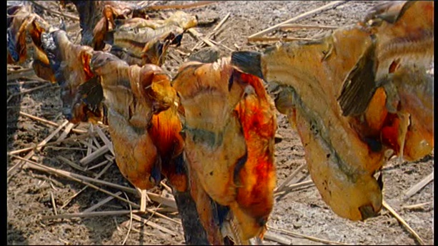 TRANSFORMATION DE POISSON :  Un financement de 178 millions de francs CFA pour des femmes de Joal-Fadiouth TRANSFORMATION DE POISSON :  Un financement de 178 millions de francs CFA pour des femmes de Joal-Fadiouth