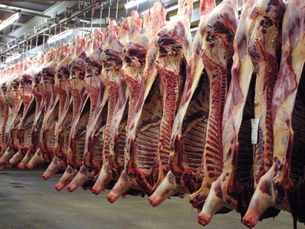 Viande : Légère hausse de 2% des abattages contrôlés à fin juin 2016 au Sénégal