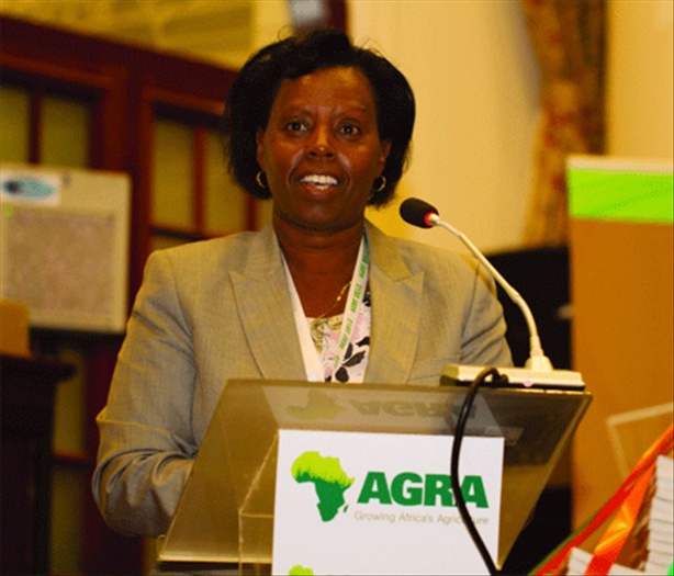 RAPPORT DE L’ALLIANCE POUR UNE REVOLUTION VERTE EN AFRIQUE : Un plaidoyer pour des investissements massifs dans l’agriculture RAPPORT DE L’ALLIANCE POUR UNE REVOLUTION VERTE EN AFRIQUE : Un plaidoyer pour des investissements massifs dans l’agriculture