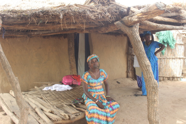 ATELIER-BILAN DE L’INITIATIVE EN FAVEUR DE LA RÉSILIENCE RURALE : Fallou Diéye  établit des liens entre le PSE et les composantes de l’initiative 4R