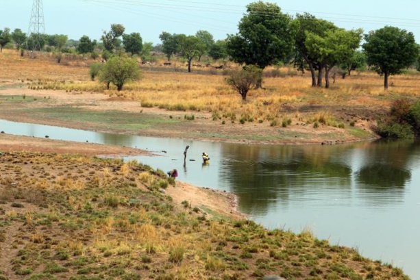 Adaptation aux changements climatiques : Le PNUD a appuyé plus de 1200 exploitants agricoles Adaptation aux changements climatiques : Le PNUD a appuyé plus de 1200 exploitants agricoles