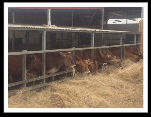 Agriculture : Les fermes Naatangués recoivent l´appui de la coopération espagnole