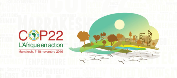 Environnement : COP22, COP africaine Environnement : COP22, COP africaine