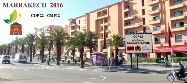 ENVIRONNEMENT : Les juristes au cœur de la COP 22 ENVIRONNEMENT : Les juristes au cœur de la COP 22