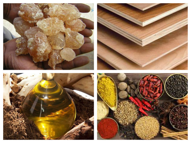 Economie : La transformation structurelle est utile pour la gouvernance en Afrique Economie : La transformation structurelle est utile pour la gouvernance en Afrique