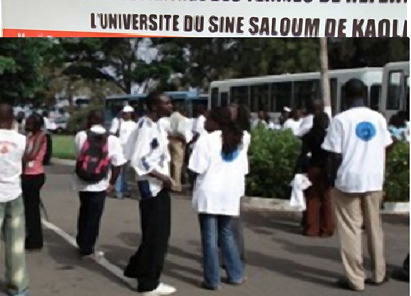 Enseignement Supérieur Agricole en Afrique :L’Ussein intègre le Conseil d’administration du Forum Régional des Universités pour le Renforcement des Capacités en Agriculture 