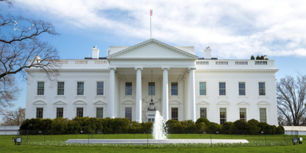 Échec de la représentation et perspectives démocratiques aux États-Unis