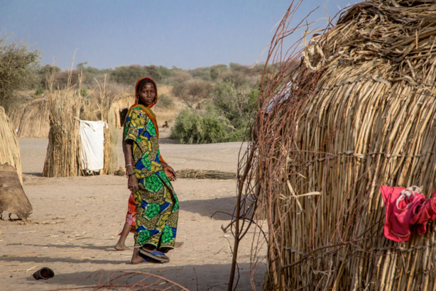 Bassin du lac Tchad : 7,1 millions de personnes souffrent d'insécurité alimentaire aigue