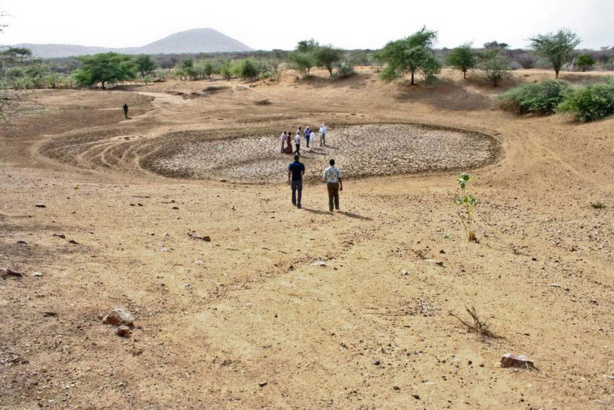 Afrique de l'est : La sécheresse fait grimper considérablement les prix des produits alimentaires