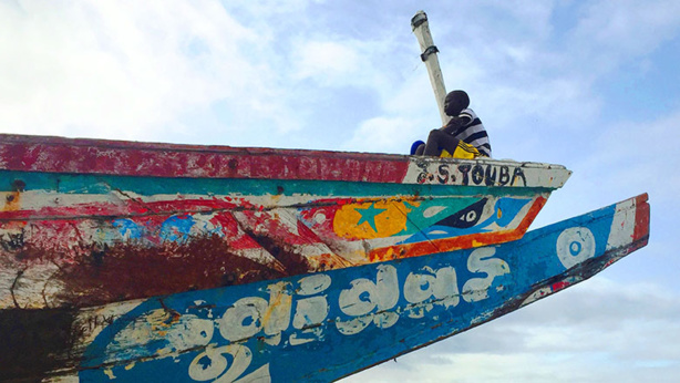 Afrique de l’Ouest : Permettre aux petits pêcheurs de combattre la pêche illégale Afrique de l’Ouest : Permettre aux petits pêcheurs de combattre la pêche illégale