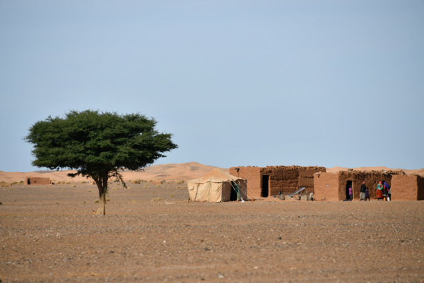 Pénuries d'eau en Afrique du Nord et au Moyen-Orient : La FAO tire sur la sonnette d’alarme