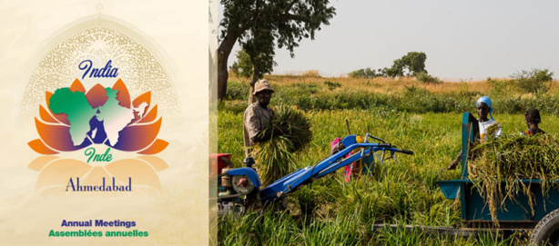 Assemblées annuelles BAD : La transformation de l'agriculture pour créer de la richesse en Afrique Assemblées annuelles BAD : La transformation de l'agriculture pour créer de la richesse en Afrique