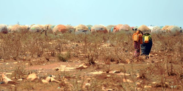 Environnement : Nombreux records pulvérisés en 2016 dans le domaine du climat