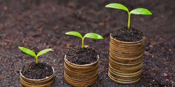 Economie africaine : La CEA voit en l’industrialisation verte une opportunité Economie africaine : La CEA voit en l’industrialisation verte une opportunité