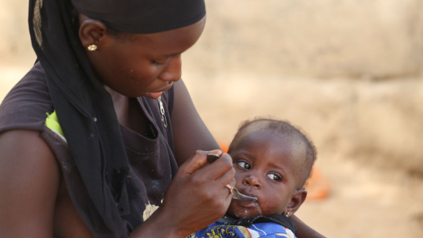 Sénégal : quand sécurité alimentaire rime avec autonomisation de la femme