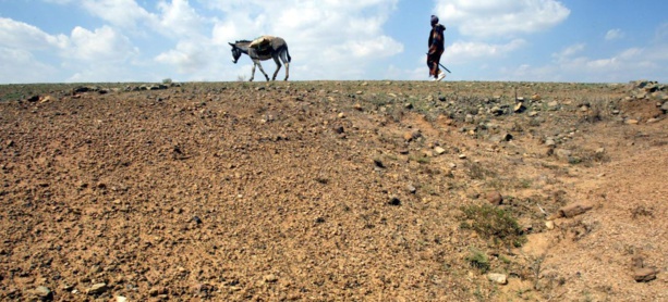 Afrique Subsaharienne : Les coûts de financement des pays pré émergents sont en hausse Afrique Subsaharienne : Les coûts de financement des pays pré émergents sont en hausse