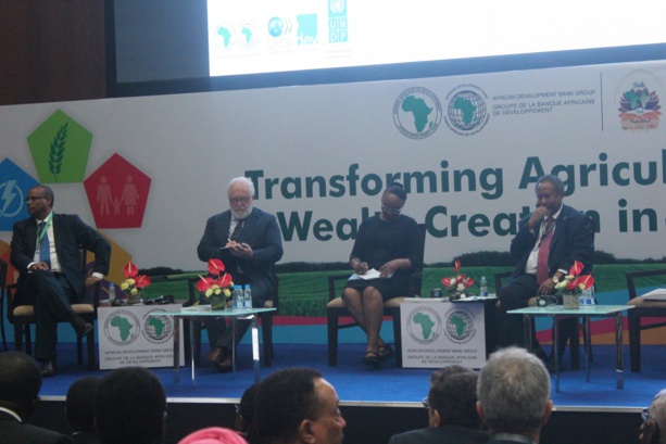 Lancement Perspectives économiques en Afrique 2017: L’entrepreneuriat des Africains vecteur de l’industrialisation
