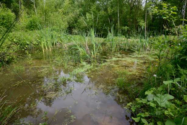 Economie : Agir contre le changement climatique peut stimuler la croissance économique Economie : Agir contre le changement climatique peut stimuler la croissance économique