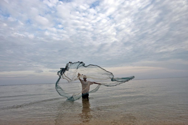 Environnement : La Conférence mondiale sur les océans s'ouvre sur fond d'urgence climatique Environnement : La Conférence mondiale sur les océans s'ouvre sur fond d'urgence climatique