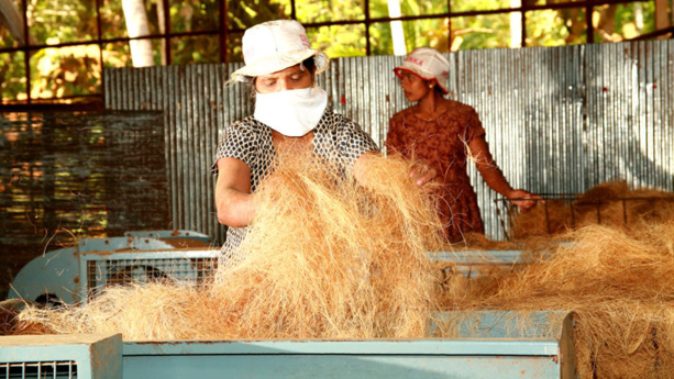 Développement : La réduction des disparités entre les sexes favorise les femmes Développement : La réduction des disparités entre les sexes favorise les femmes