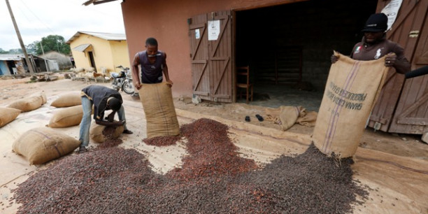 Cacao : la conjoncture met le Ghana et la Côte d'Ivoire sous pression Cacao : la conjoncture met le Ghana et la Côte d'Ivoire sous pression