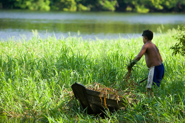 Tropiques: Une zone en première ligne face aux défis du changement climatique et du développement durable Tropiques: Une zone en première ligne face aux défis du changement climatique et du développement durable