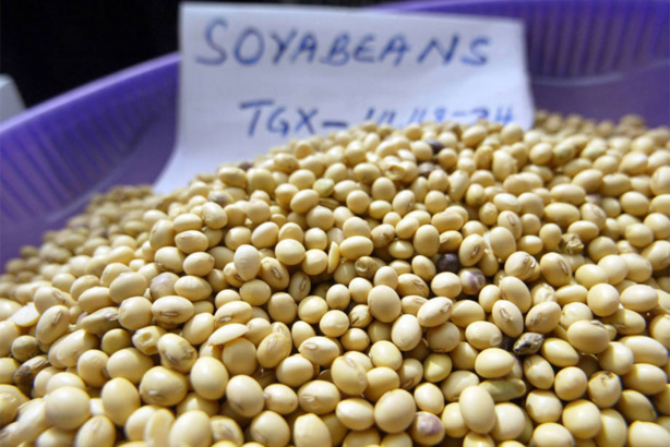 Alimentation: une croissance ralentie de la demande devrait maintenir les prix alimentaires à un bas niveau