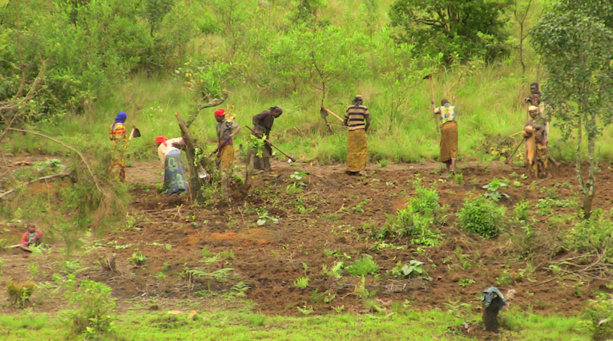 Autosuffisance alimentaire en Afrique :La science au cœur d’un agenda continental Autosuffisance alimentaire en Afrique :La science au cœur d’un agenda continental