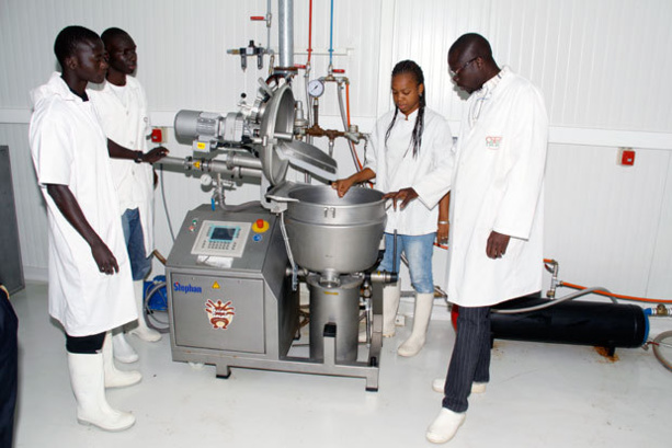 Sénégal : Plongeon de la Production industrielle en juin
