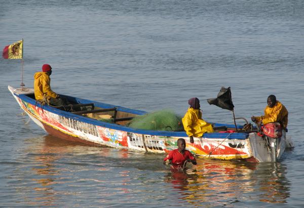 DEVELOPPEMENT DE LA PECHE ARTISANALE : L’Etat débloque 20 milliards pour équiper 20 000 pirogues artisanales de moteurs