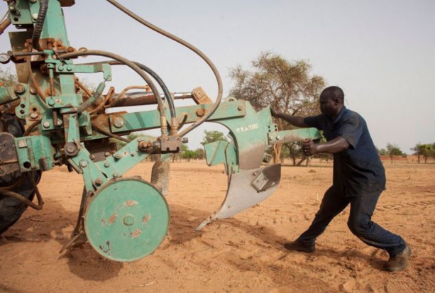 Burkina Faso : L'OIM lance un nouveau projet pour promouvoir l'emploi des jeunes
