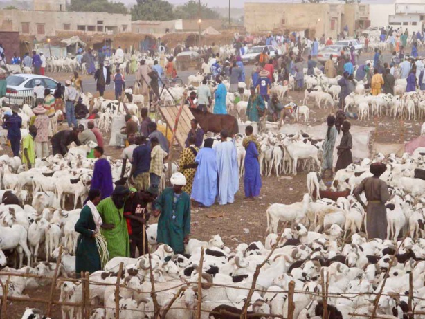 Elevage : Progression de l’activité, en variation trimestrielle, au premier trimestre 2017 Elevage : Progression de l’activité, en variation trimestrielle, au premier trimestre 2017