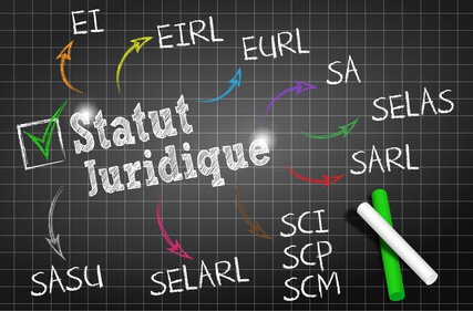 Recensement des entreprises : 82% sont des entreprises individuelles Recensement des entreprises : 82% sont des entreprises individuelles