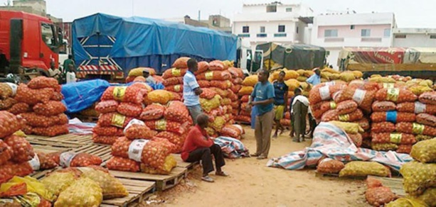 Sénégal : Repli de l’activité économique en août 2017