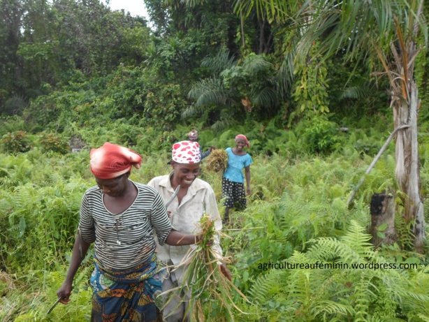 Marché du travail : Le taux d’emploi plus élevé en milieu urbain que rural Marché du travail : Le taux d’emploi plus élevé en milieu urbain que rural