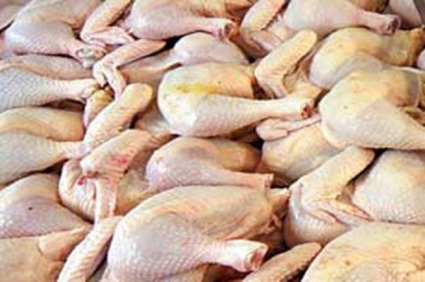 Interdiction de l’importation de la volaille : Le Sénégal va se défendre à l’Omc