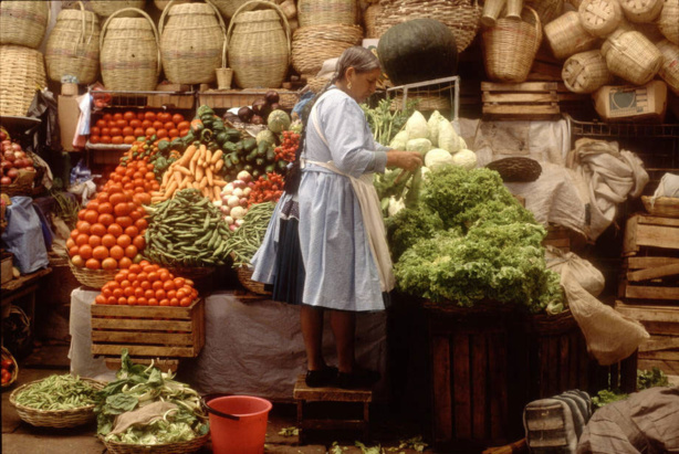 Les villes et politiques locales sont essentielles pour mettre un terme au gaspillage alimentaire, selon la FAO Les villes et politiques locales sont essentielles pour mettre un terme au gaspillage alimentaire, selon la FAO