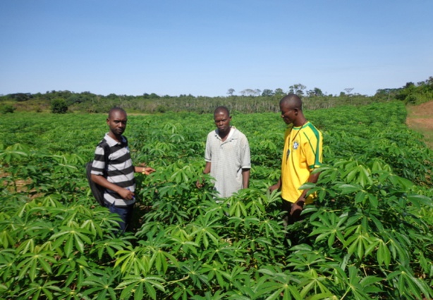 Agriculture : Les pratiques d’agriculture intelligente aident les petits exploitants à faire face aux conditions météorologiques Agriculture : Les pratiques d’agriculture intelligente aident les petits exploitants à faire face aux conditions météorologiques