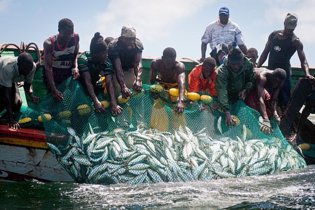 Ecorégion Wamer : La pêche fait travailler plus de 3 millions de personnes