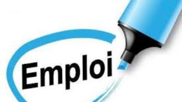 Senegal : L’emploi salarié en progression de 1,6% au troisième trimestre Senegal : L’emploi salarié en progression de 1,6% au troisième trimestre