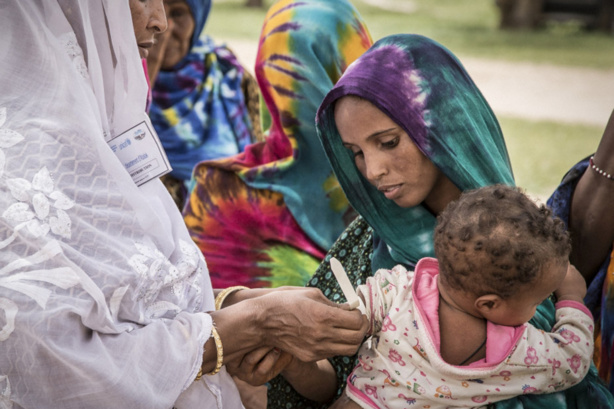 La FAO appelle à davantage d'investissements pour contrer la hausse de la faim La FAO appelle à davantage d'investissements pour contrer la hausse de la faim