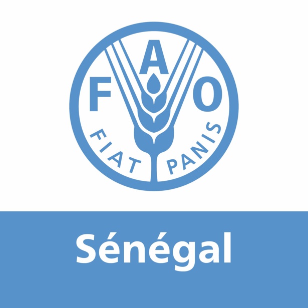 PROMOTION DE L’EMPLOI RURAL DECENT : La Fao remet 3000 guides aux acteurs intervenant dans le secteur PROMOTION DE L’EMPLOI RURAL DECENT : La Fao remet 3000 guides aux acteurs intervenant dans le secteur