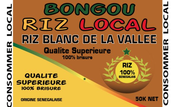 Le méga projet agro-alimentaire de Mohamed Moctar Chleuh, PDG de SDC Holding Sénégal avance à grands pas