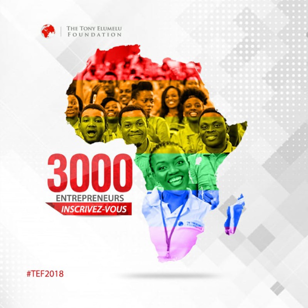 Soutien à l’entreprenariat de la Tef : Les candidatures pour le 4e cycle du programme de développement acceptées Soutien à l’entreprenariat de la Tef : Les candidatures pour le 4e cycle du programme de développement acceptées