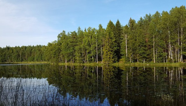 ENVIRONNEMENT : Le Sénégal va mettre en place son Centre d’incubation de solutions climatiques ENVIRONNEMENT : Le Sénégal va mettre en place son Centre d’incubation de solutions climatiques
