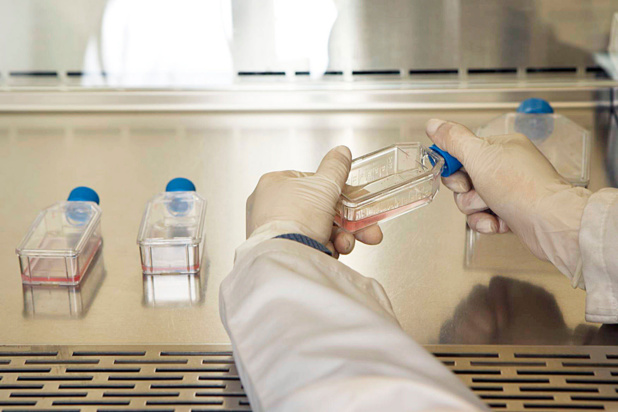 Cancer : 46 milliards de dollars de perte de productivité dans les grandes économies émergentes Cancer : 46 milliards de dollars de perte de productivité dans les grandes économies émergentes