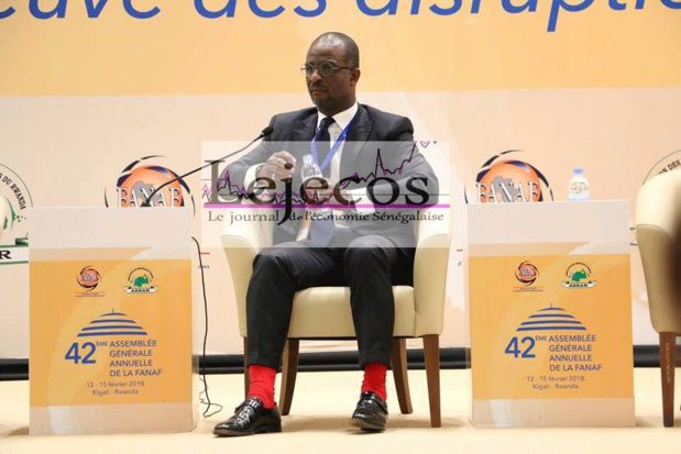 Stanislas Zeze, Bloofield Investment