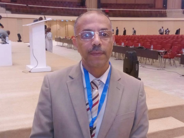 IMED HAMDI, DIRECTEUR DE LA FTSA : « La Tunisie post révolution veut surtout travailler avec l’Afrique subsaharienne » IMED HAMDI, DIRECTEUR DE LA FTSA : « La Tunisie post révolution veut surtout travailler avec l’Afrique subsaharienne »