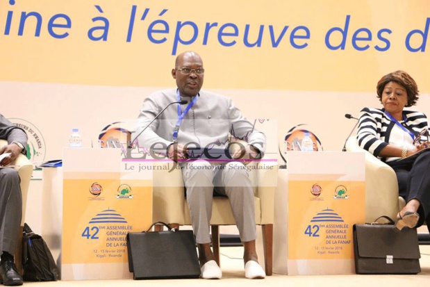 ADAMA NDIAYE PRESIDENT DE LA FANAF : « Il faut qu’on se regroupe pour bâtir de grands ensembles » ADAMA NDIAYE PRESIDENT DE LA FANAF : « Il faut qu’on se regroupe pour bâtir de grands ensembles »