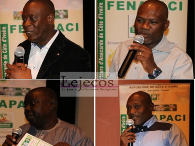 Côte d’Ivoire : Producteurs, acheteurs, exportateurs & transformateurs ensemble pour "sauver" la filière cajou Côte d’Ivoire : Producteurs, acheteurs, exportateurs & transformateurs ensemble pour "sauver" la filière cajou